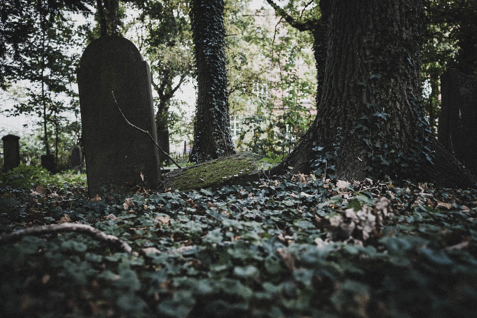 Emden, Jüdischer Friedhof